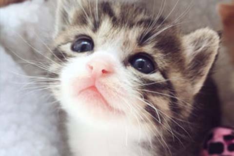 自动化怎么进重庆国企的